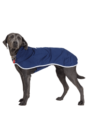 Boathouse Waterproof Dog Jacket